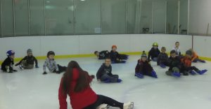 3-29-2015 Ice Skating (7)