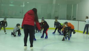 3-29-2015 Ice Skating (8)